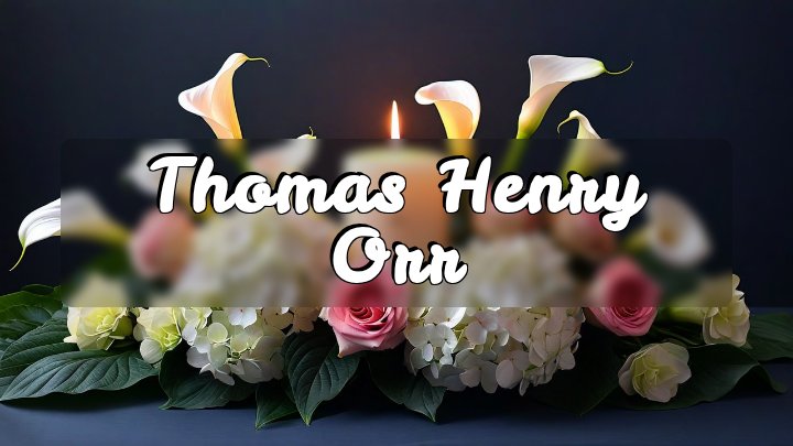 Thomas Henry Orr, Greenville, South Carolina
